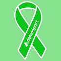Awareness Ribbon Magnets