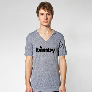 Custom American Apparel T-Shirts