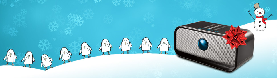 Corporate Holiday Gifts | Gifts for Empoyees