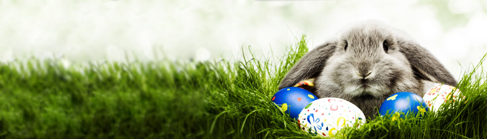 Easter Promotional Products | Custom Easter Giveaways | Personalized Easter Gifts