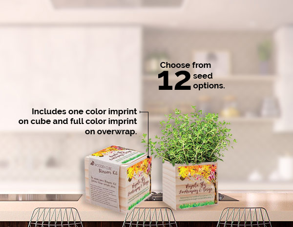 Wooden Cube Blossom Kit