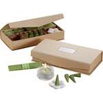 Logo Lifestyle Gifts - Essentials Apple Incense Kit