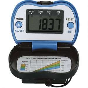 Stayfit Pedometer 