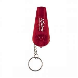 Custom Promotional Polaris Key Ring