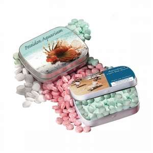 Custom Promotional Alpine Mini Mint Tin - 4 Color