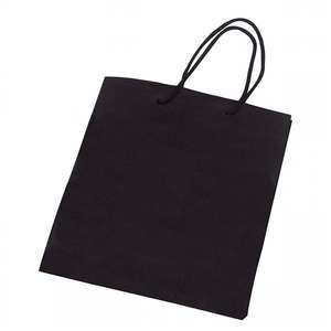Nonwoven Gift Bag 