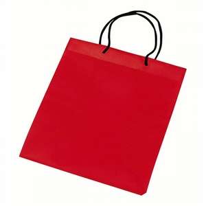 Nonwoven Gift Bag 