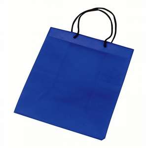 Nonwoven Gift Bag 