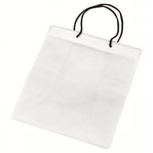 Nonwoven Gift Bag 