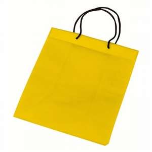 Nonwoven Gift Bag 