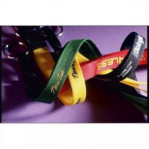 Lanyard with Key Ring - 1/2