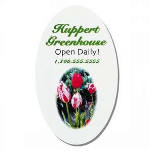 Oval Basic Shaped Magnet 