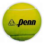 Custom Car & Outdoor Magnets - Medium Car Magnet - Sports Ball