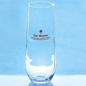 Custom Promotional Stemless Flute