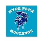 Promotional Products by Industry / Organization - Clear Removable Car Sticker - 4" x 4" (Adhesive on Back)