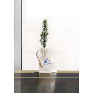 Custom Promotional Blue Spruce Tree