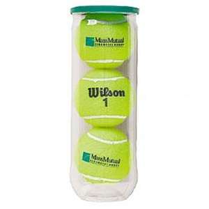 Wilson Championship Tennis Balls 