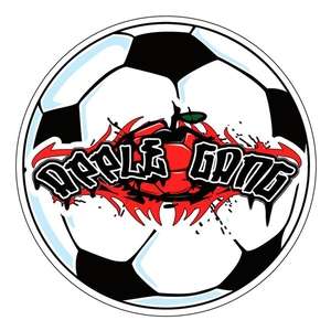 Custom Promotional Full Color Round Car Magnet - 5-3/4" Diameter