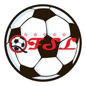 Full Color Round Car Magnet - 5-3/4