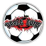 Logo Sports Promotion - Full Color Round Car Magnet - 5-3/4" Diameter