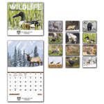 Personalized Wall Calendars - Wildlife Portraits - Spiral Calendar - 2013