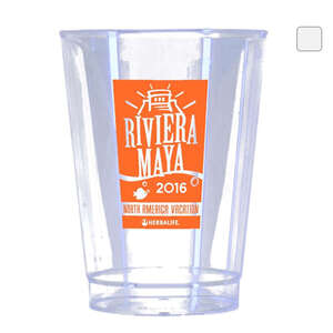Custom Promotional Clear Plastic Tumbler Cup - 10 oz