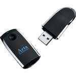 Personalized Corporate Holiday Gifts - Laser Pointer USB Flash Drive 2GB