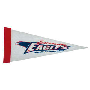 Custom Promotional Felt Pennant - 5"x12"