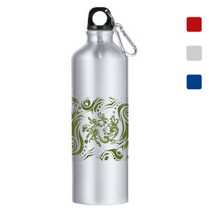 Santa Fe Aluminum Bottle 