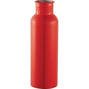 Colorband Stainless Bottle 