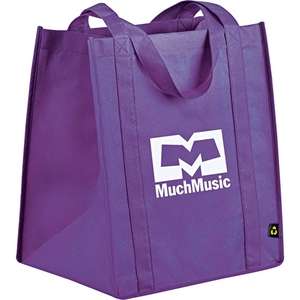 PolyPro Big Grocery Tote Bag