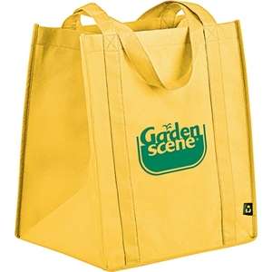 PolyPro Big Grocery Tote Bag