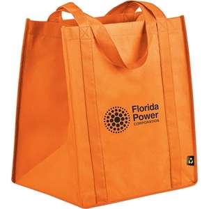 PolyPro Big Grocery Tote Bag
