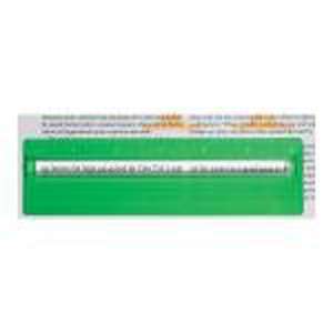 Plastic 6" Ruler with Magnifying Glass 