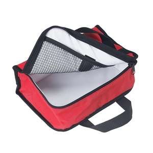 Insulated Lunch Bag 