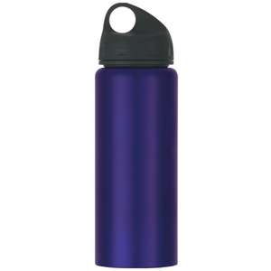 25 Oz Stainless Steel Wide Mouth Bottle