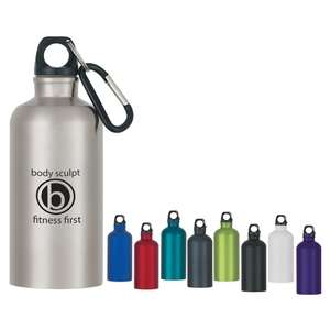 17 Oz Stainless Steel Bike Bottle
