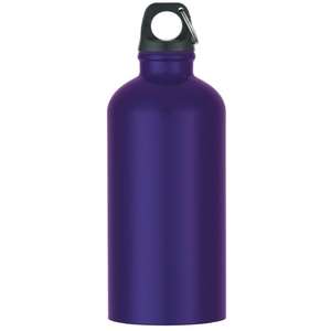 17 Oz Stainless Steel Bike Bottle