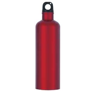 25 Oz Stainless Steel Bike Bottle 