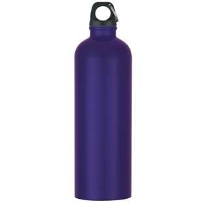 25 Oz Stainless Steel Bike Bottle 