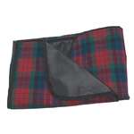 Promotional Blankets - Plaid Picnic Blanket
