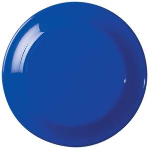 Large Discus Flying Disc