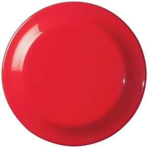 Large Discus Flying Disc