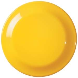 Large Discus Flying Disc
