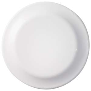 Large Discus Flying Disc