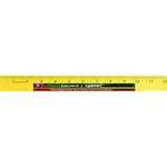 Imprinted Rulers - 12" Enamel Wood Ruler - Full Color Digital