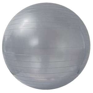 Exercise Gym Balls 25" Silver