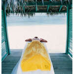 Business Towels - Signature Midweight Beach Towel - Colors