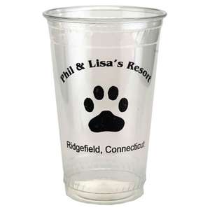 Clear Plastic Cup - 20 oz 