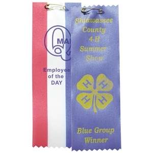 Custom Promotional Bookmarks/Award Ribbons VII - 2-1/2" x 6"